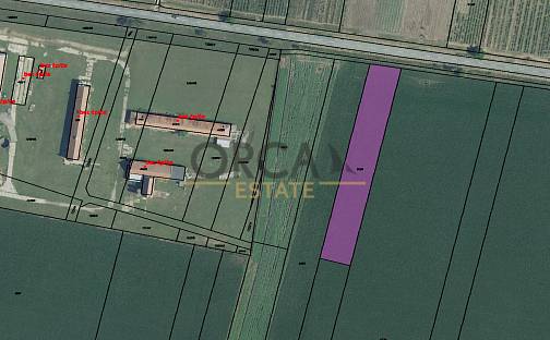 Prodej pole 2 963 m², Přítluky, okres Břeclav