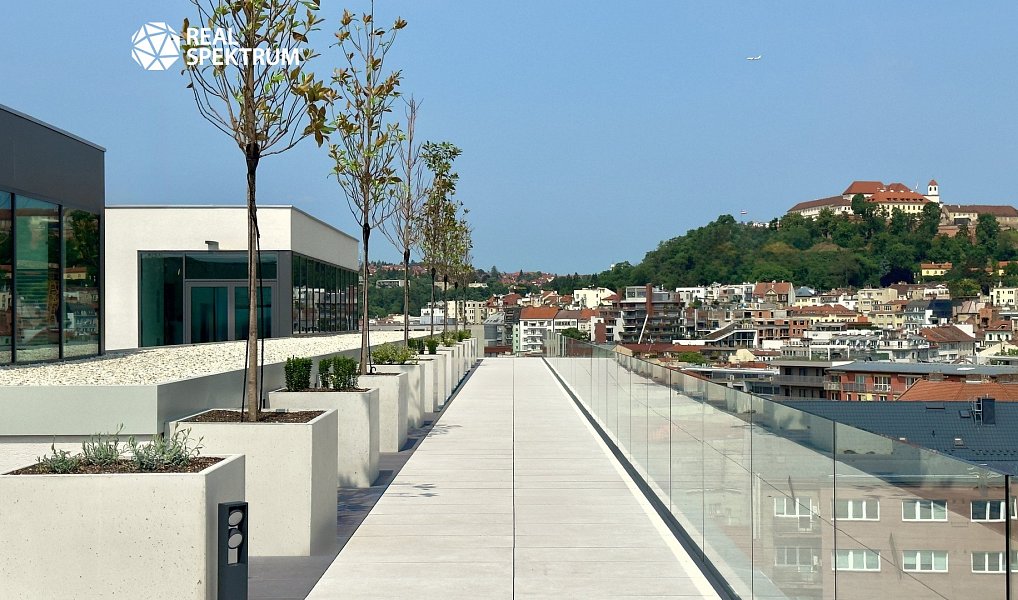 Pronájem kanceláře 410 m², Brno – náhled fotky 20
