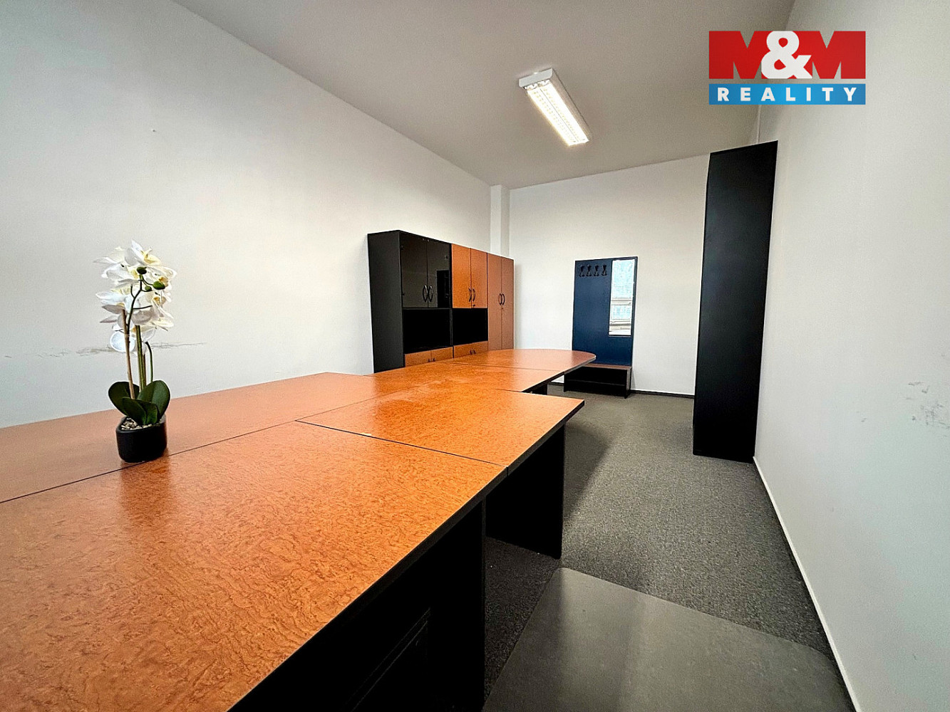 Pronájem kanceláře 55 m² – fotografie 4