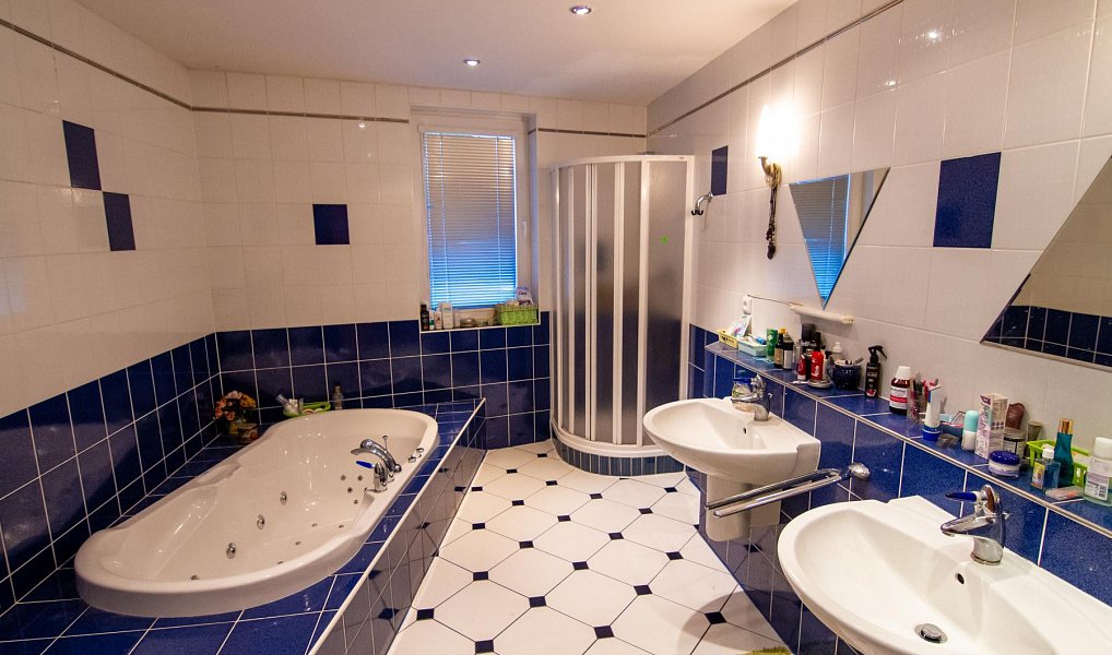 Prodej domu 807 m² s pozemkem 5 219 m², Říčany – náhled fotky 15