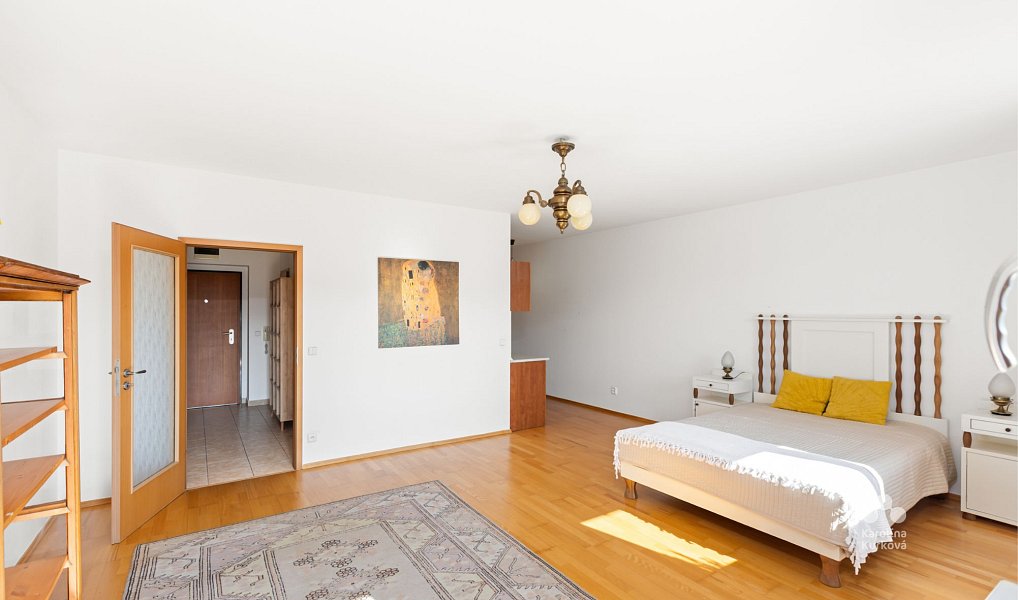 Pronájem bytu 1+kk 55 m², Praha – náhled fotky 11