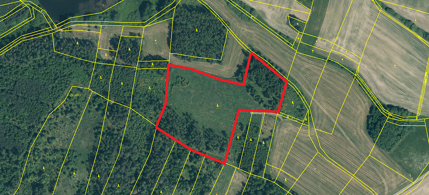 Prodej lesa 19 057 m²