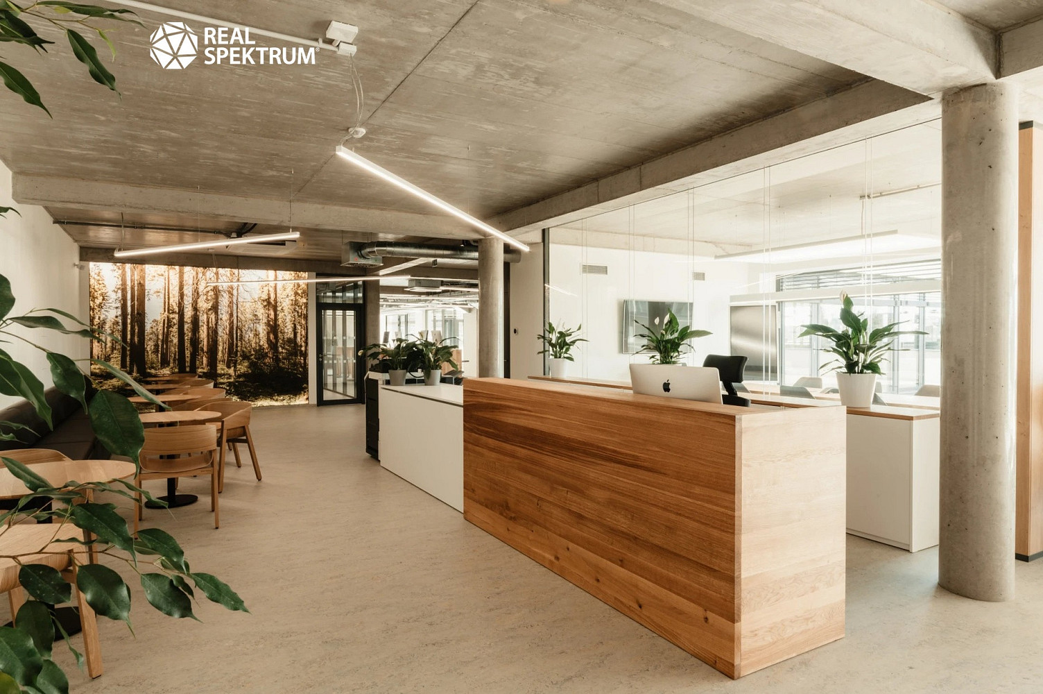 Prodej kanceláře 823 m²