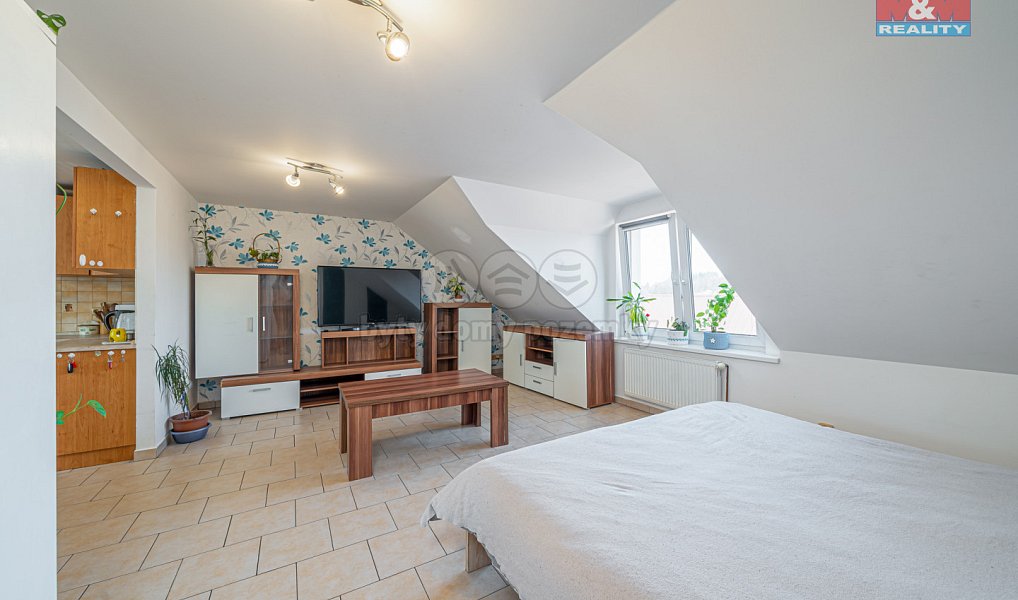Prodej obchodních prostor 450 m², Moravský Beroun – náhled fotky 5