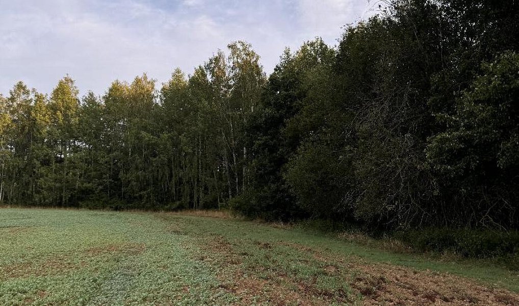 Prodej pozemku 3 584 m², Blíževedly – náhled fotky 4