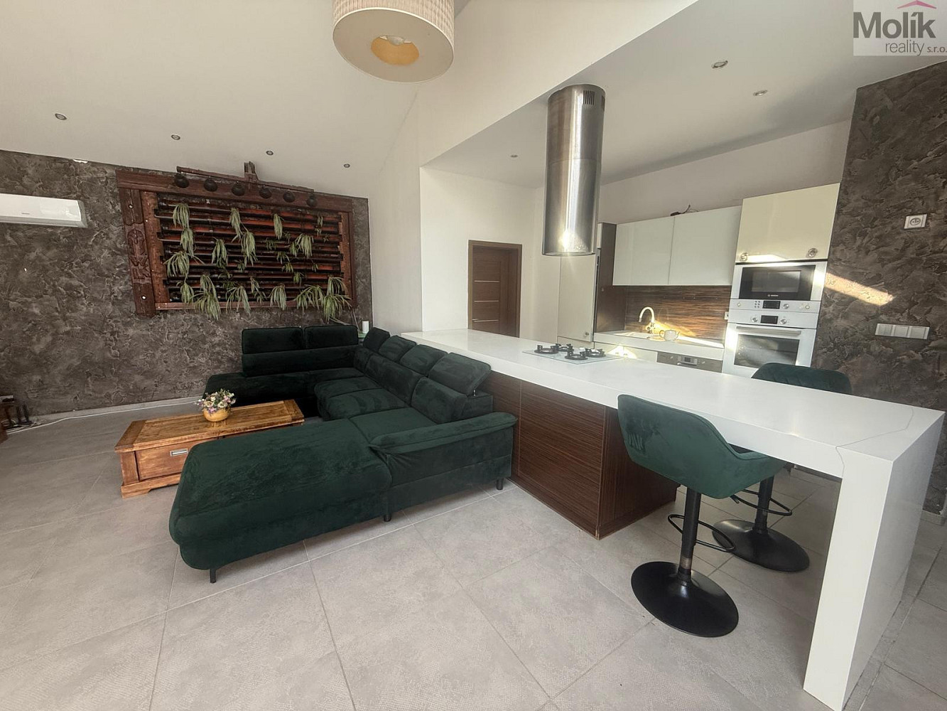 Pronájem domu 700 m² s pozemkem 768 m²