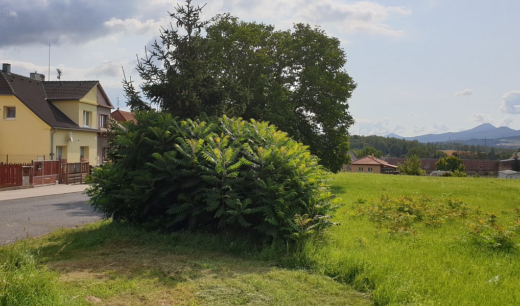 Prodej stavebního pozemku 5 682 m², Zabrušany – náhled fotky 3