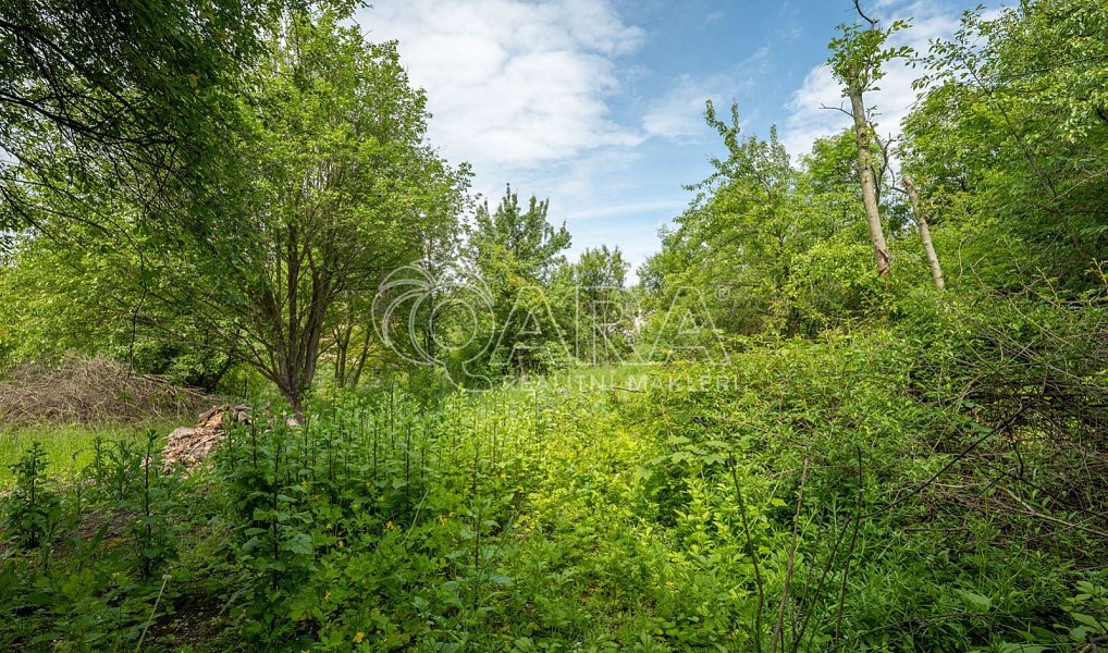 Prodej stavebního pozemku 1 049 m², Zdiby – náhled fotky 17
