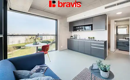 Pronájem bytu 1+kk 24 m², Dornych, Brno - Trnitá