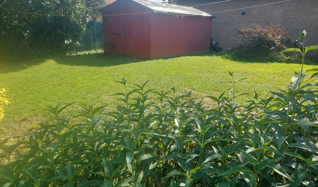 Prodej domu 60 m² s pozemkem 1 306 m², Vyšehořovice – náhled fotky 3