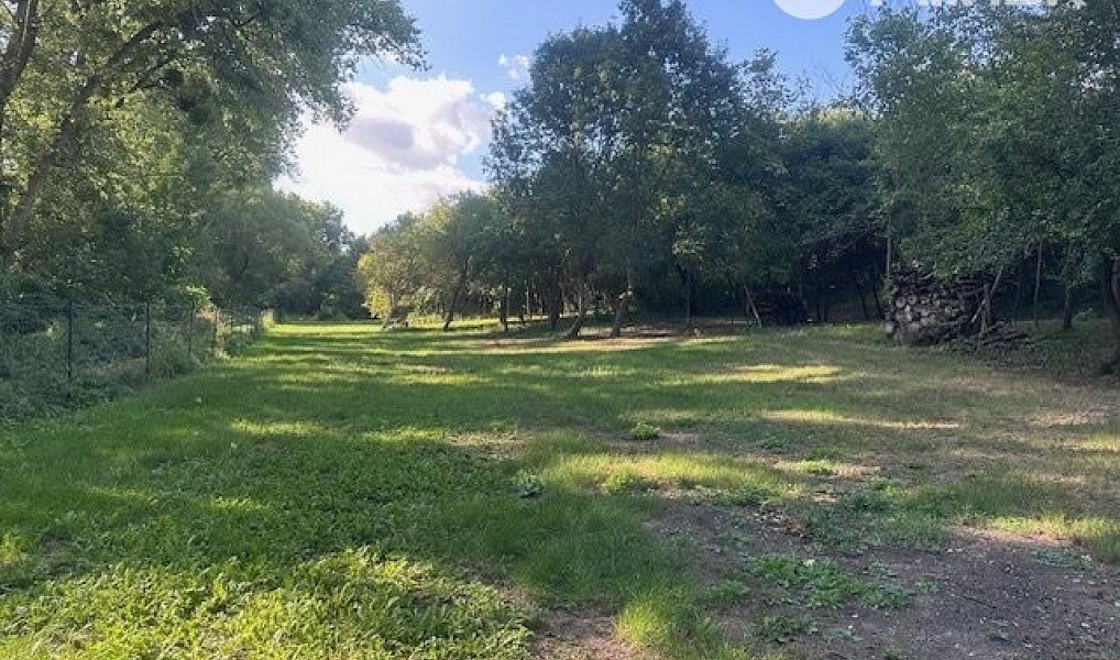 Prodej zahrady 4 789 m², Přibice – náhled fotky 3