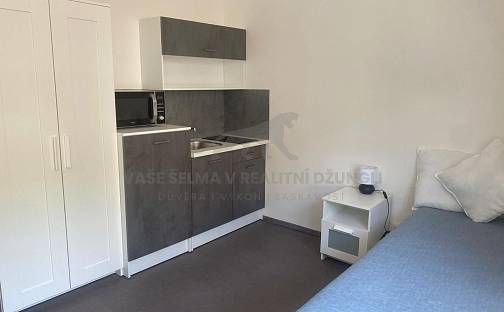 Pronájem bytu 1+kk 21 m², třída Dukelských hrdinů, Jáchymov, okres Karlovy Vary