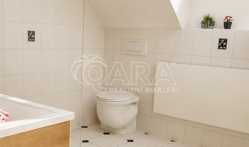 Prodej domu 285 m² s pozemkem 730 m², Březová-Oleško – náhled fotky 19