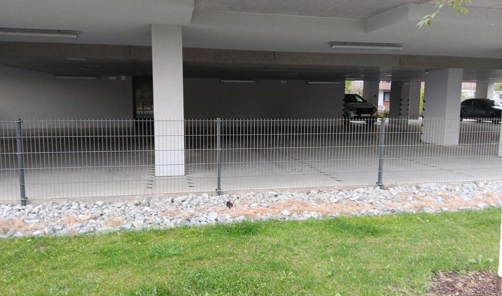 Prostorná garáž / stání v žádané lokalitě u centra – ideální pro auto i motorky, Plzeň – náhled fotky 2