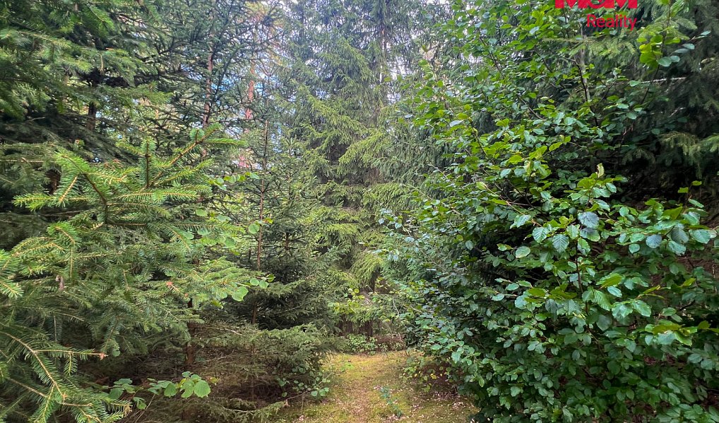 Prodej stavebního pozemku 64 409 m², Záblatí – náhled fotky 19