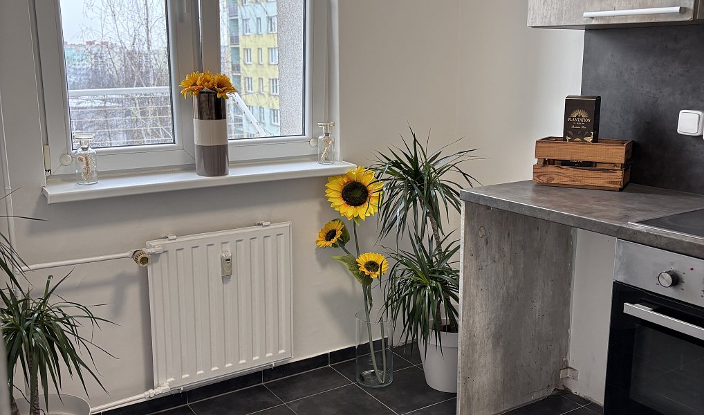 Prodej bytu 2+1 44 m², Ostrava – náhled fotky 4