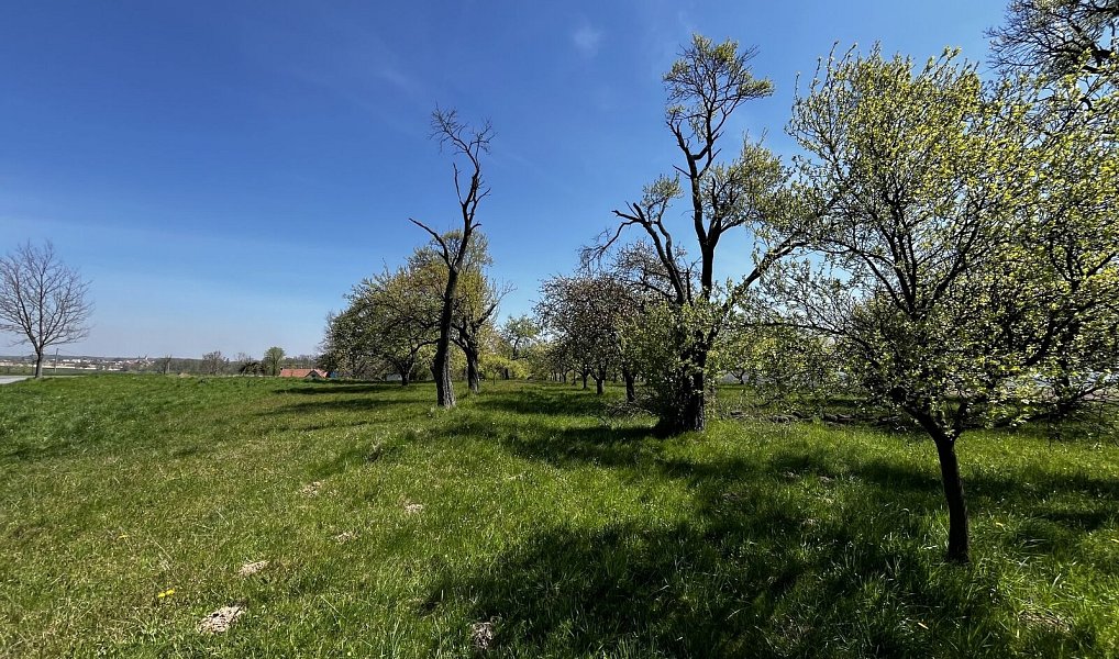 Prodej pozemku 7 559 m², Horní Újezd – náhled fotky 11