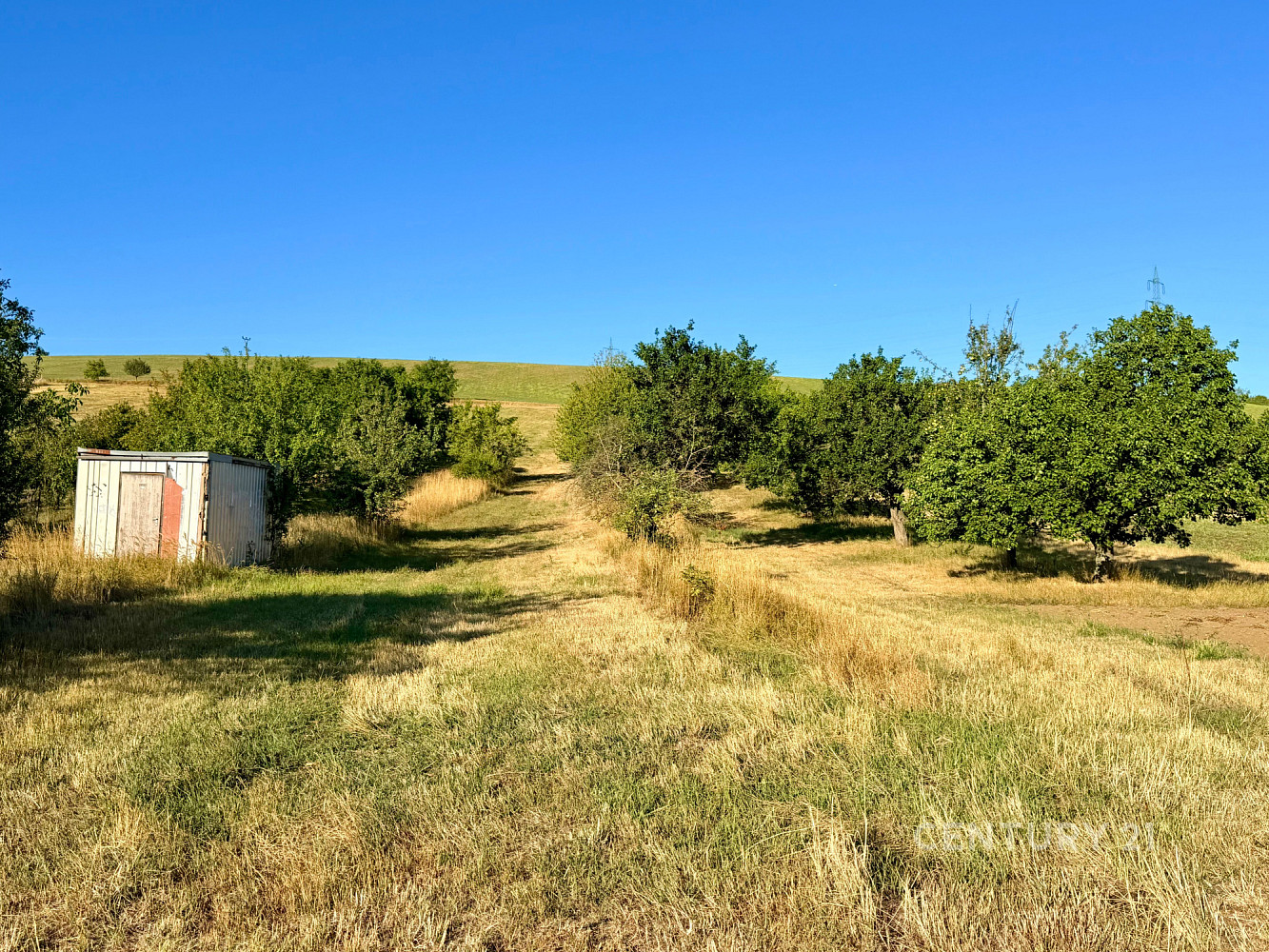 Fotka 3 z 20