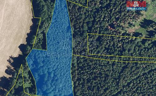 Prodej lesa 8 566 m², Jiříkov, okres Bruntál