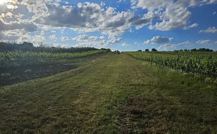 Prodej stavebního pozemku 800 m², Starý Poddvorov, okres Hodonín