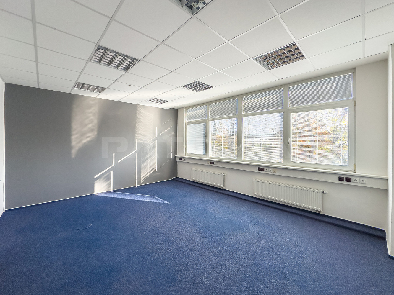 Pronájem kanceláře 309 m² – fotografie 2