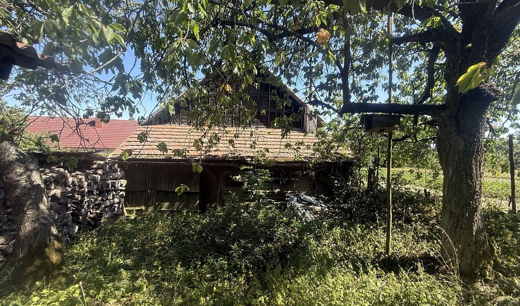Prodej domu 200 m² s pozemkem 721 m², Mladý Smolivec – náhled fotky 25