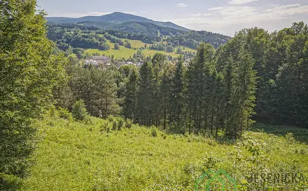 Prodej pole 12 392 m², Lipová-lázně, okres Jeseník
