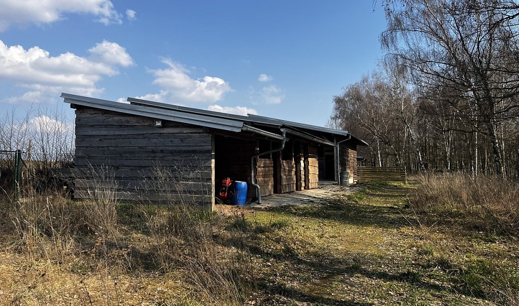 Prodej domu 100 m² s pozemkem 4 357 m², Snědovice – náhled fotky 15