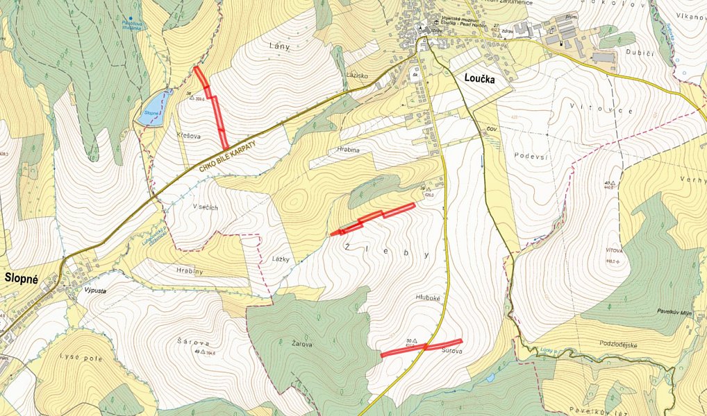 Prodej pole 19 604 m², Loučka – náhled fotky 4