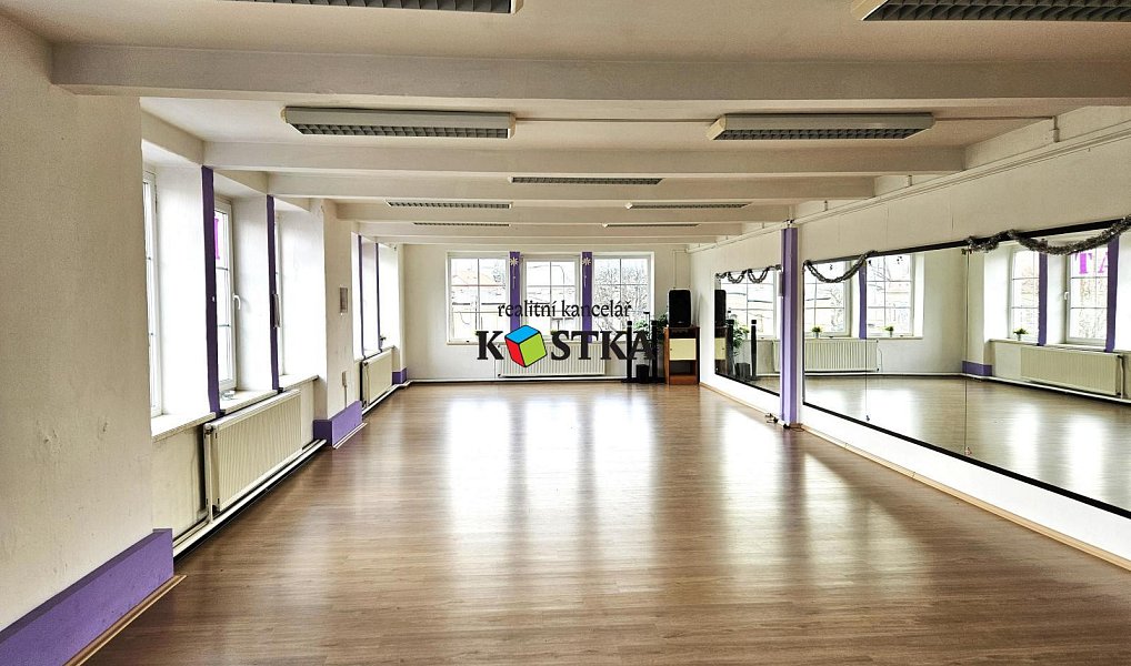 Prodej obchodních prostor 2 500 m², Nový Jičín – náhled fotky 10