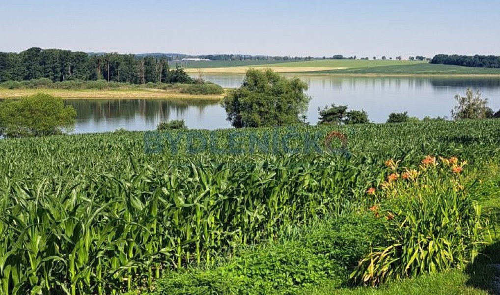 Prodej stavebního pozemku 705 m², Žabovřesky – náhled fotky 10