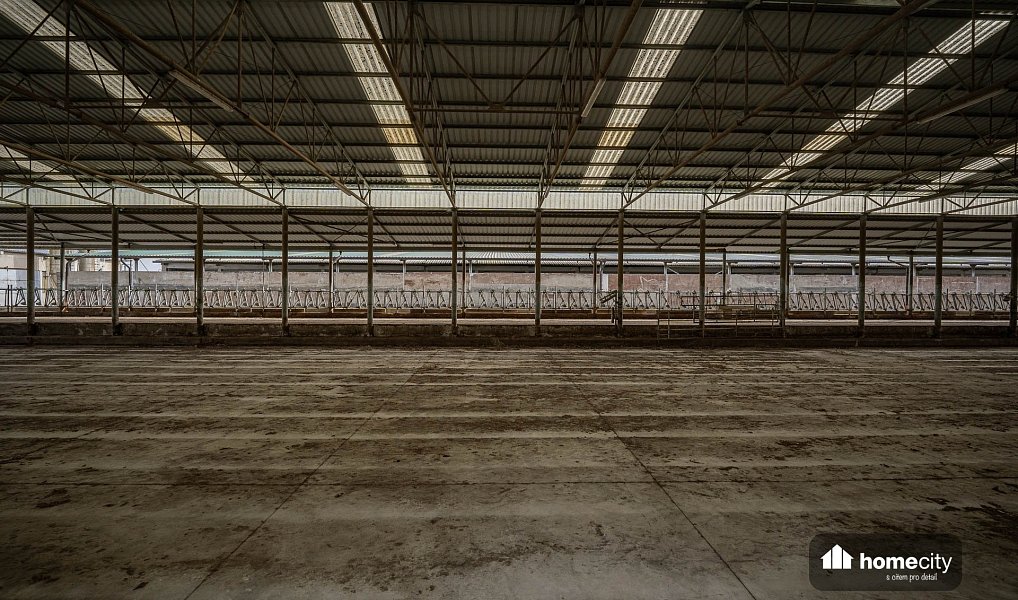 Prodej zemědělského objektu 38 087 m², Sovolusky – náhled fotky 8