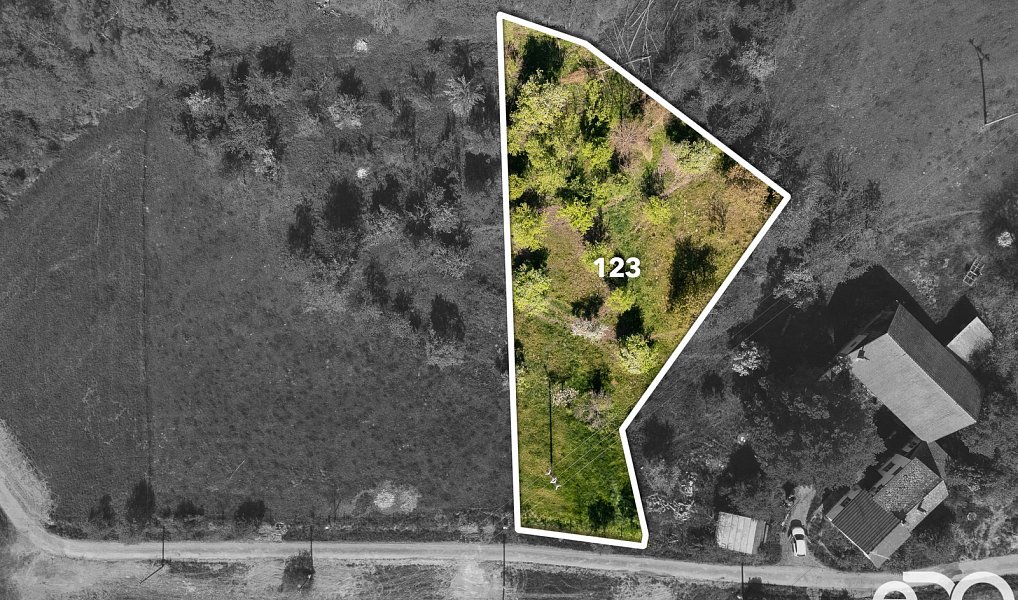 Prodej stavebního pozemku 2 393 m², Pěnčín – náhled fotky 2