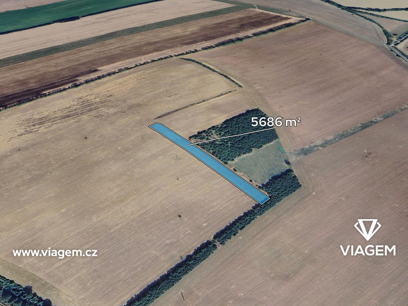 Prodej pole 5 686 m²
