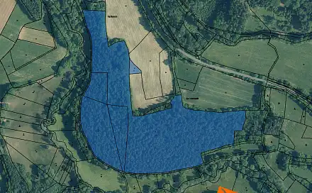 Prodej lesa 2 833 m², Čmelíny, okres Plzeň-Jih