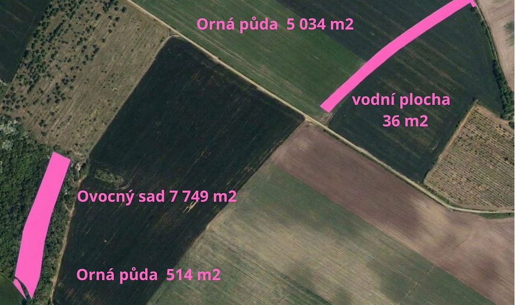 Prodej pole 60 930 m², Čejkovice – náhled fotky 2