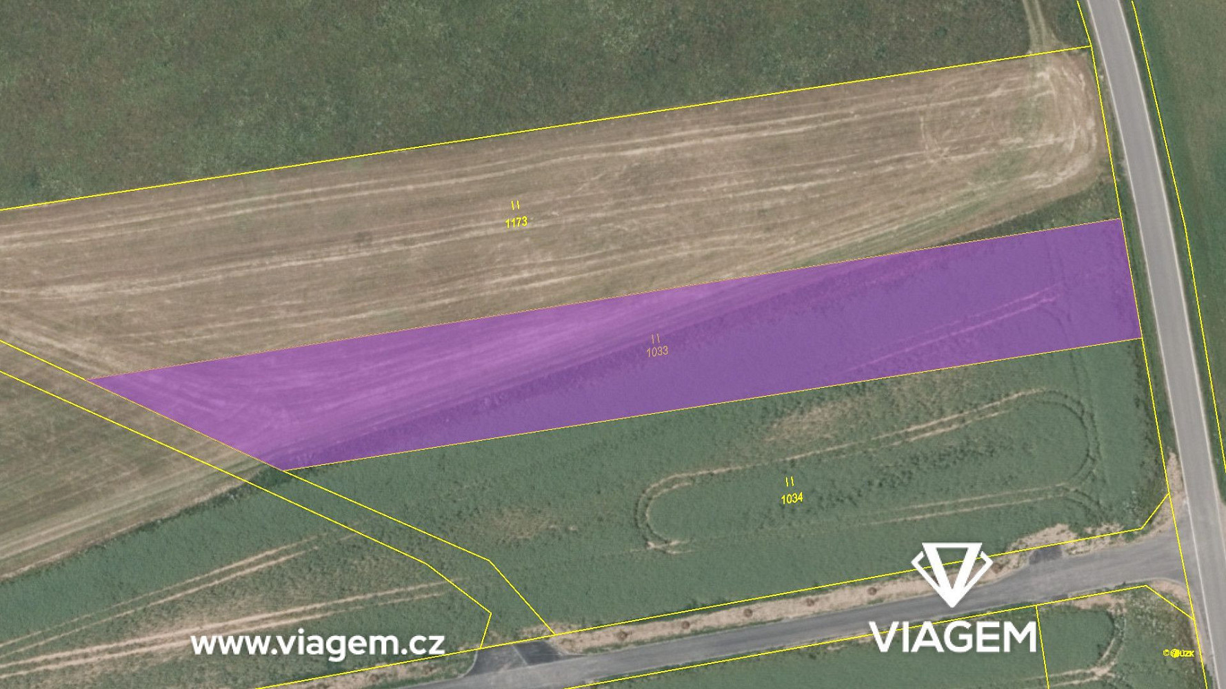 Prodej pole 3 924 m² – fotografie 4