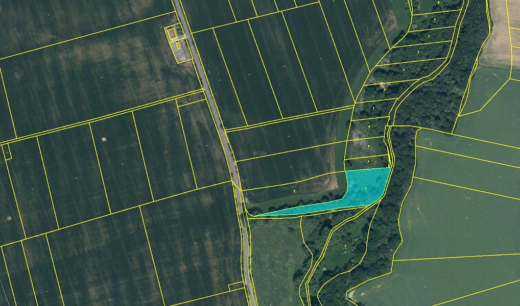 Prodej pole 4 623 m², Květnice – náhled fotky 2