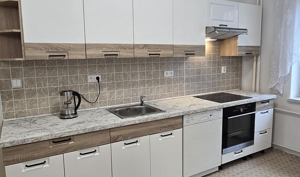 Pronájem domu 70 m² s pozemkem 335 m², Plzeň – náhled fotky 2