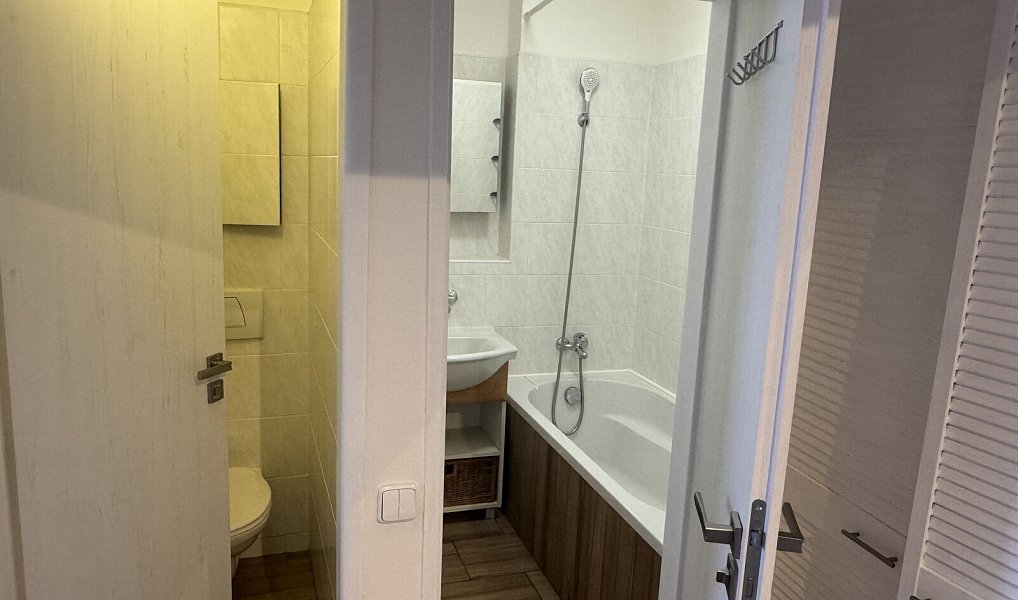 Pronájem bytu 2+1 55 m², Karlovy Vary – náhled fotky 10
