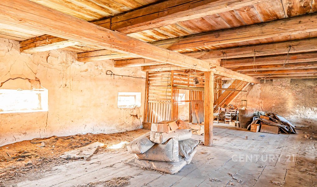 Prodej chaty/chalupy 260 m² s pozemkem 4 006 m², Budyně nad Ohří – náhled fotky 19