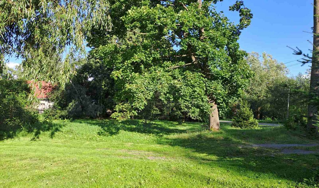 Prodej zahrady 719 m², Město Albrechtice – náhled fotky 17