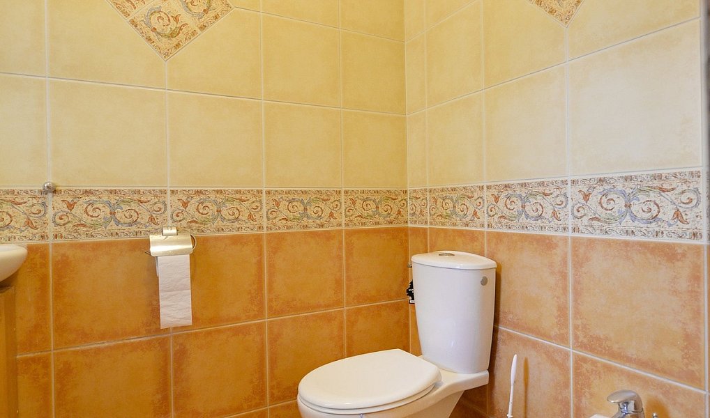 Prodej domu 320 m² s pozemkem 1 393 m², Moravany – náhled fotky 11