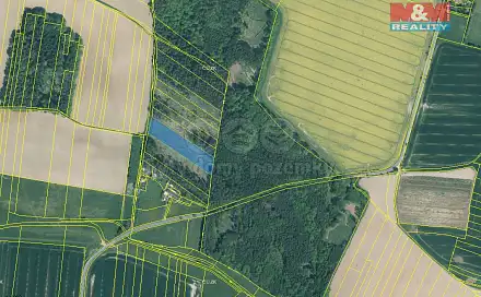 Prodej lesa 6 579 m², Stehlovice, okres Písek