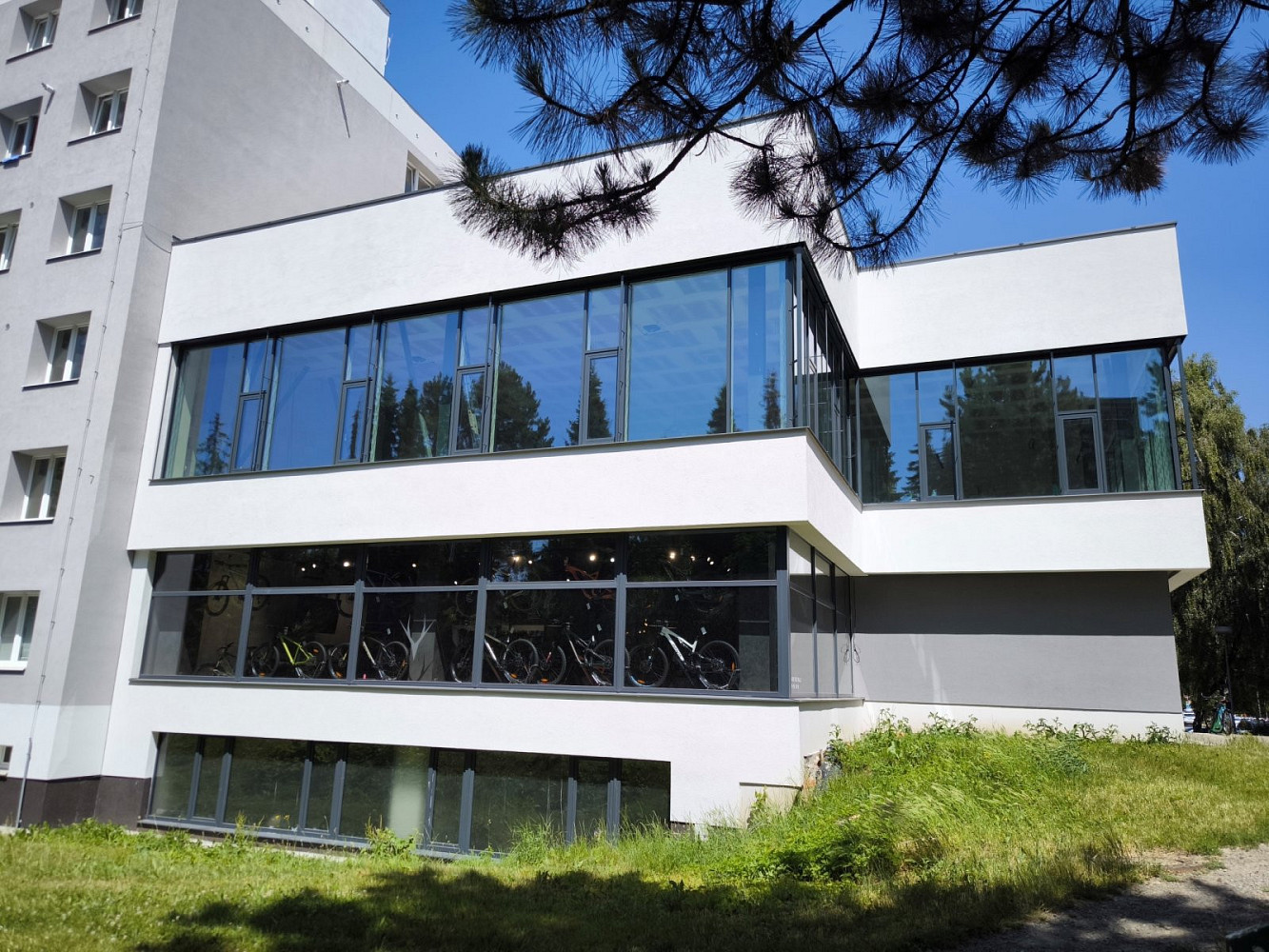 Pronájem obchodních prostor 356 m² – fotografie 3