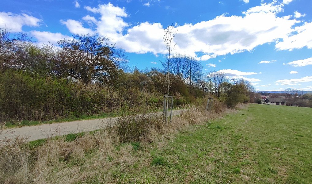 Prodej stavebního pozemku 2 605 m², Vísky – náhled fotky 9