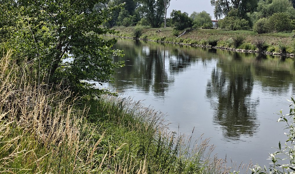 Prodej zahrady 800 m², Zálezlice – náhled fotky 5