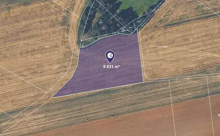 Prodej pole 3 277 m², Kvíčovice, okres Plzeň-Jih