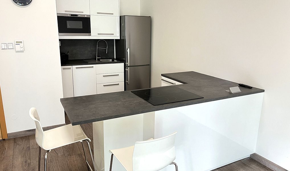 Pronájem bytu 2+kk 78 m², Ostrava – náhled fotky 4