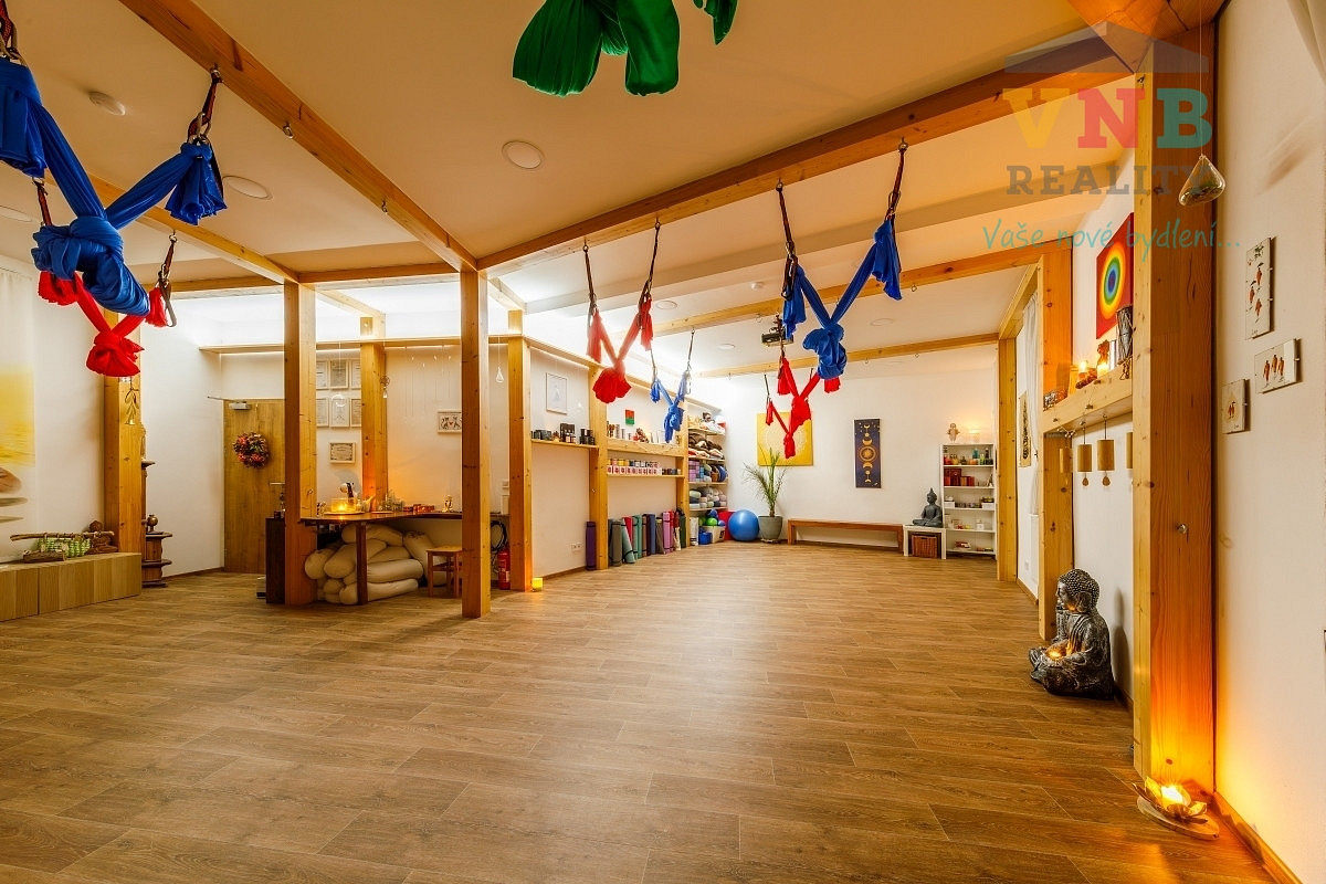 Prodej komerčního objektu (jiného typu) 205 m² – fotografie 5